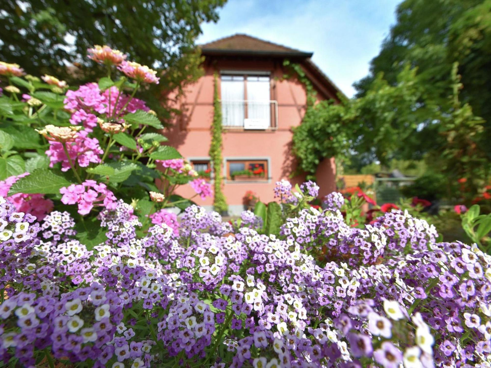 Countryside Apartment With Garden ชาลล์ชตัดท์ ภายนอก รูปภาพ