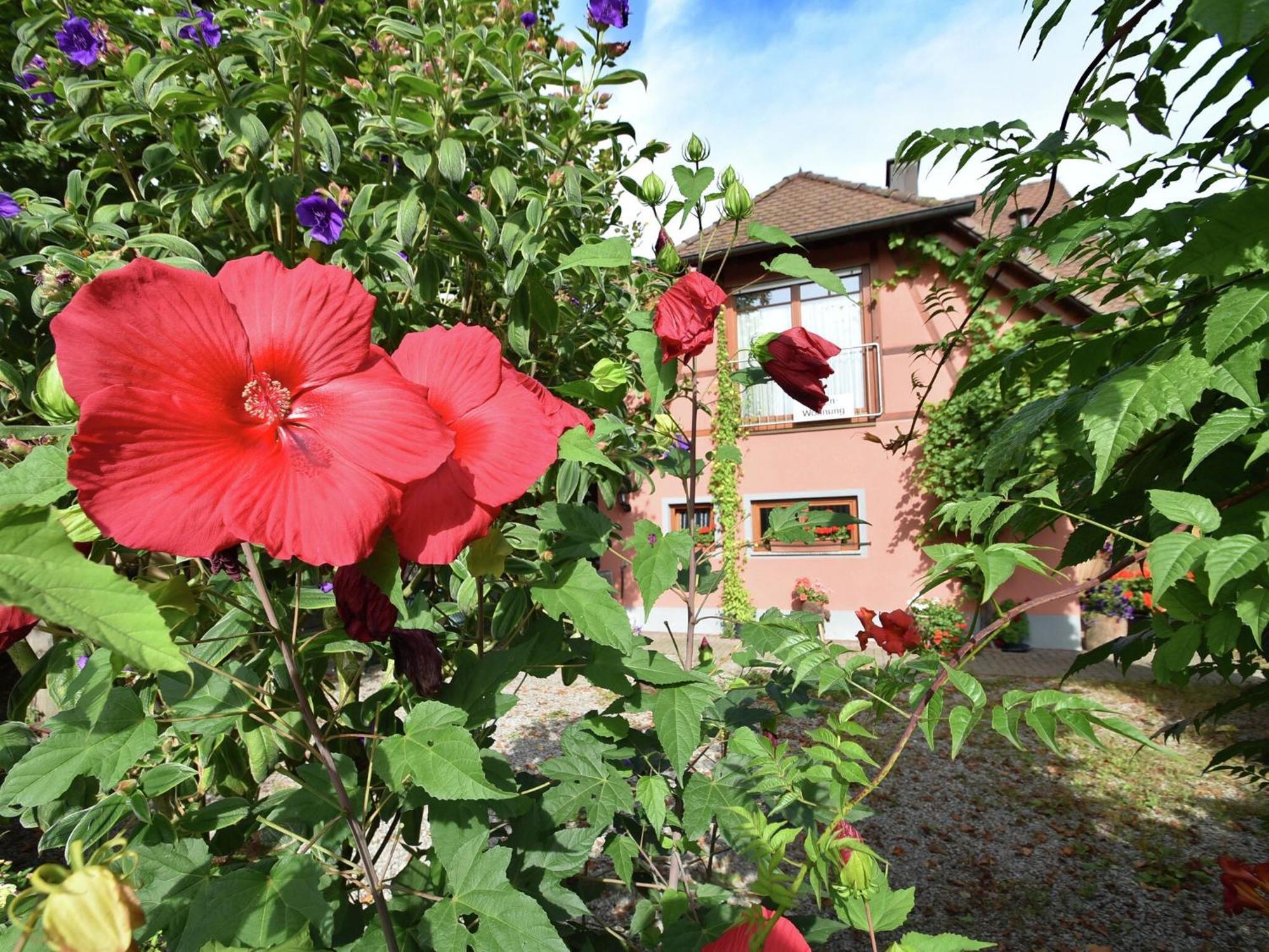 Countryside Apartment With Garden ชาลล์ชตัดท์ ภายนอก รูปภาพ